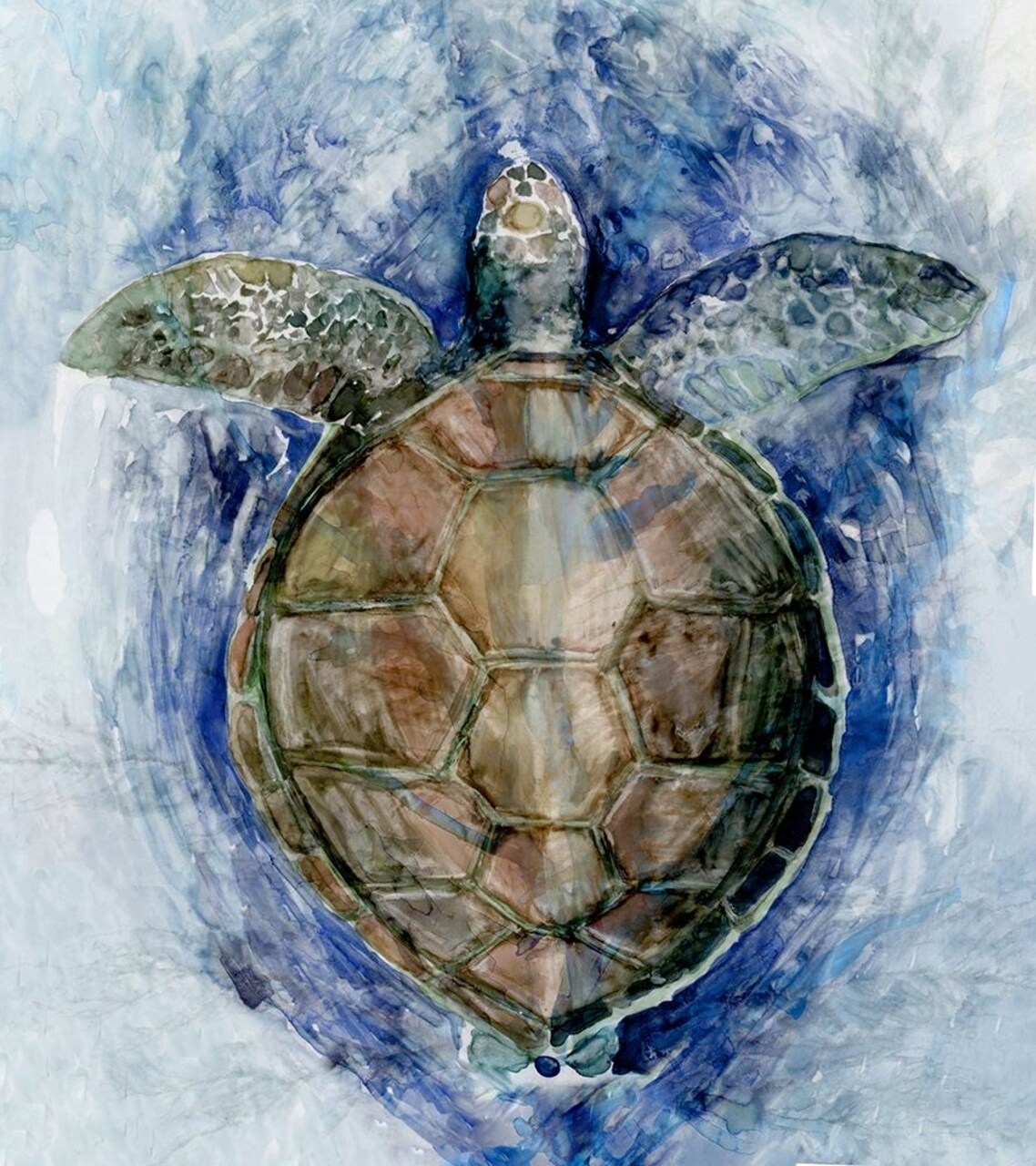 Swimming Sea Turtle�_ Poster Print by Stellar Design Studio Stellar Design Studio # TV033A